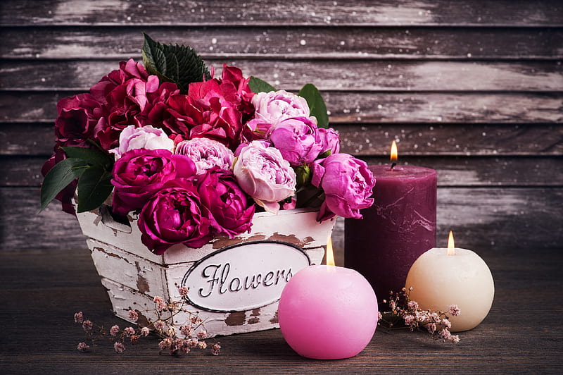 graphy, Still Life, Candle, Flower, Hydrangea, Pink Flower, Purple Flower, HD wallpaper