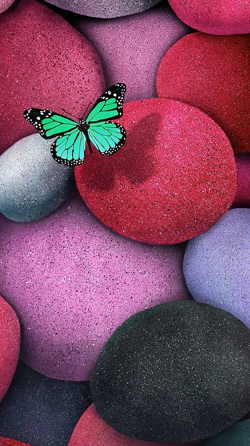 Colorful stones, butterfly, color, nature, stone, HD phone wallpaper