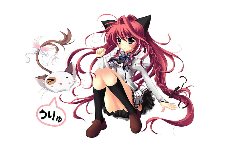 two neko, animal ears, neko, red hair, cat, cat ears, cute, mashiroiro symphony, cat girl, seifuku, HD wallpaper