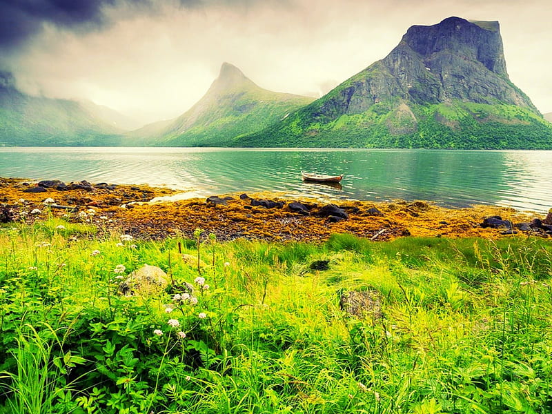 Early Morning On The Island Senja, wild flowers, grass, bonito, dawning, clouds, boat, mountains, channel, Norway, HD wallpaper