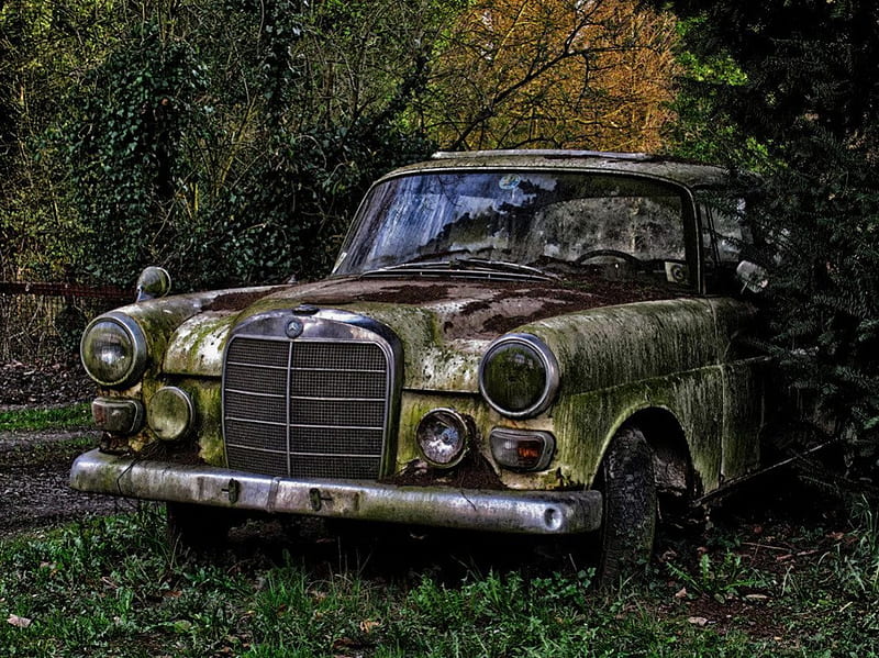Abandoned Car, wreck, dirty, rusty, nature, old, HD wallpaper