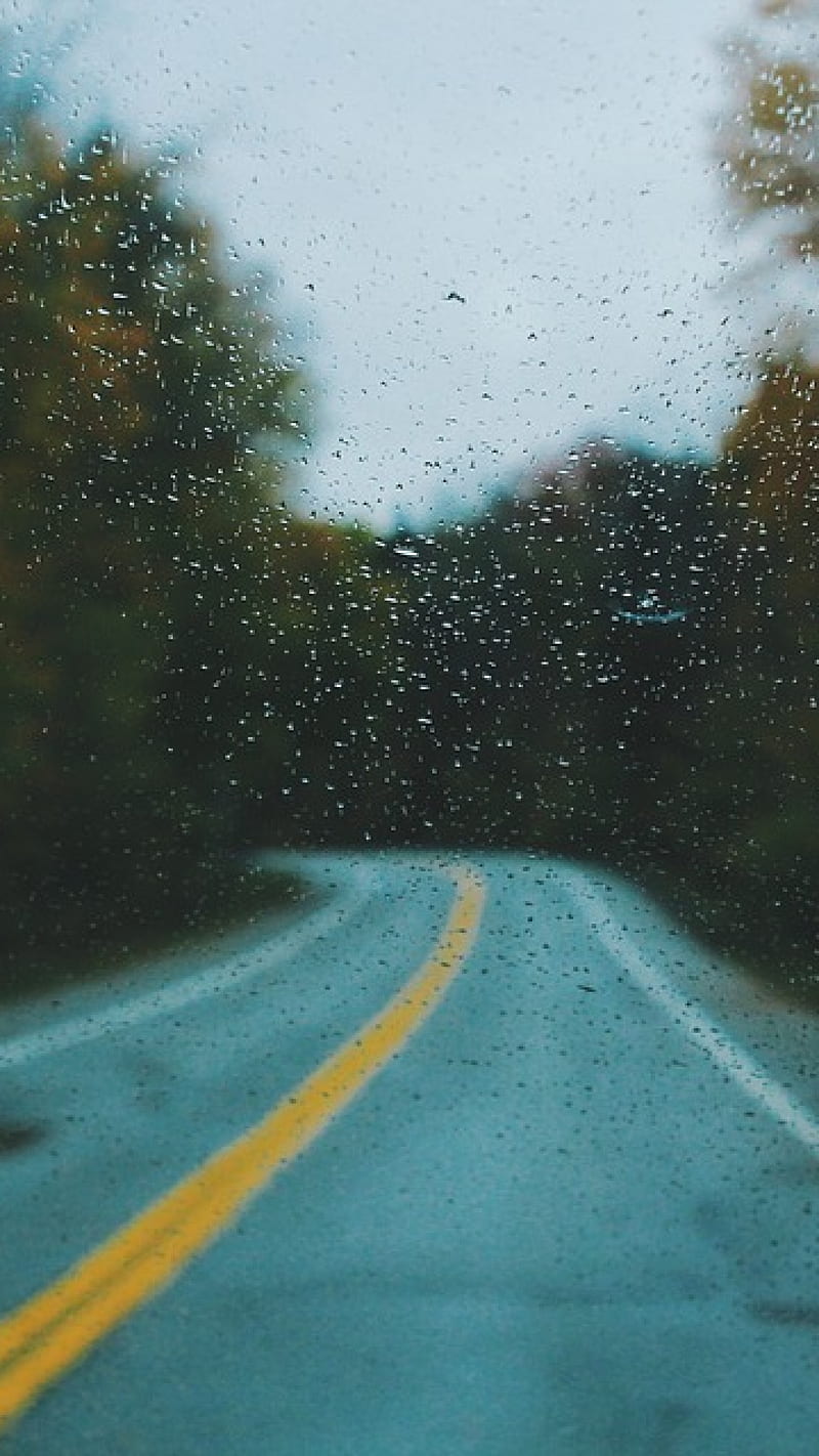 Blur, blurred, cold, focus, forest, muggy, rain, road, trees, wet, HD phone  wallpaper | Peakpx