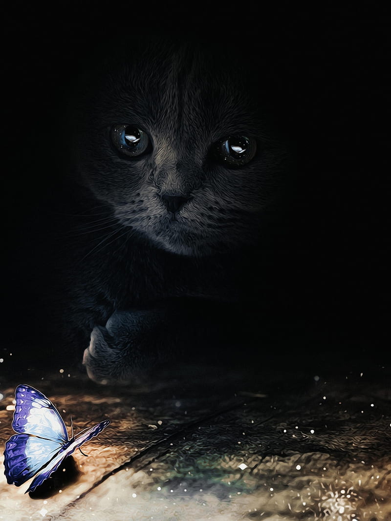 Cat looking at a blue , GEN_Z__, animal, animals, black, black cat, blue butterfly, butterfly, cat eyes, collage, cute, digital, digital-manipulation, eyes, fairy, floor, friendship, insect, look, magic, mirror, manipulation, poetic, reflection, wood, HD phone wallpaper