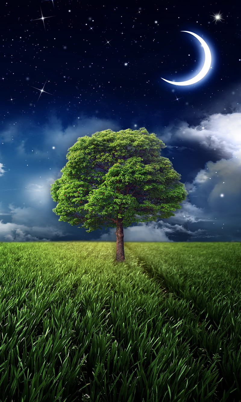 Fantasy Night, field, grass, moon, moonlight, tree, HD phone wallpaper