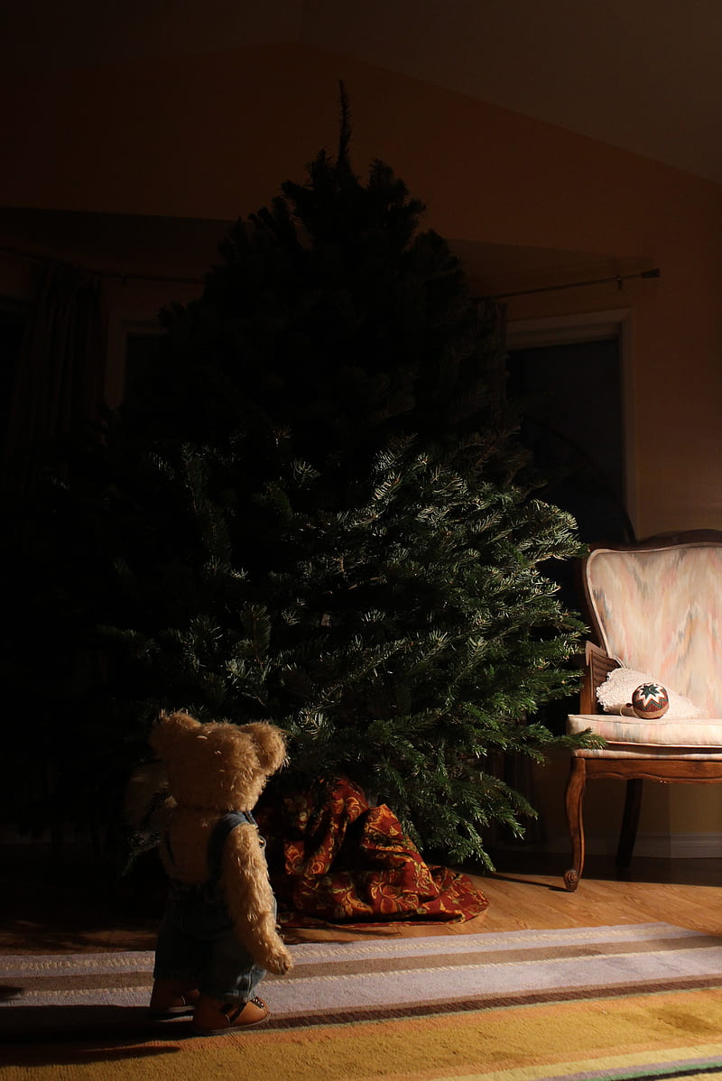 tree, toy, teddy bear, new year, christmas, HD phone wallpaper