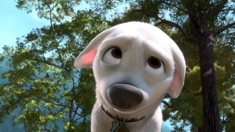 Bolt, movie, sad, face, dog, HD wallpaper