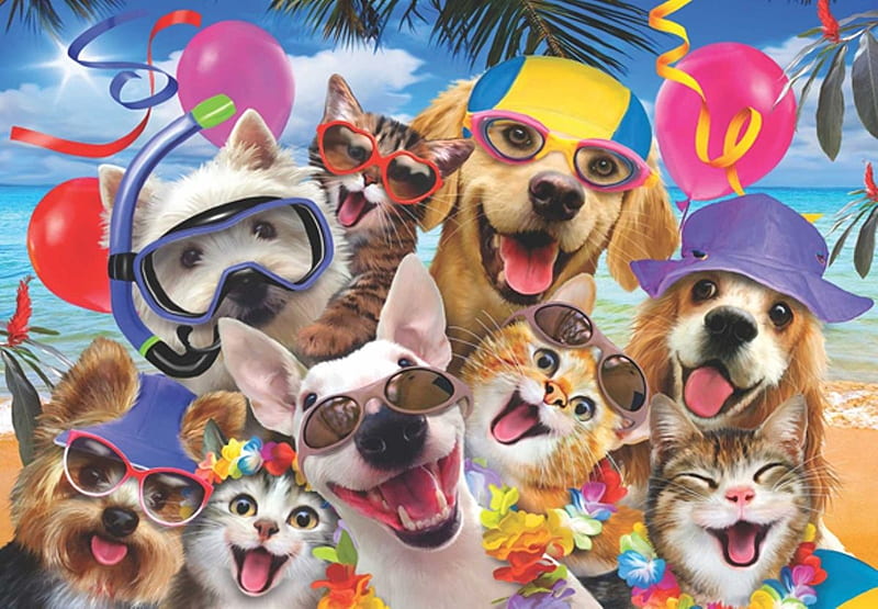 Selfie, pisici, cat, pink, caine, smile, fantasy, balloon, vara, summer, funny, dog, HD wallpaper