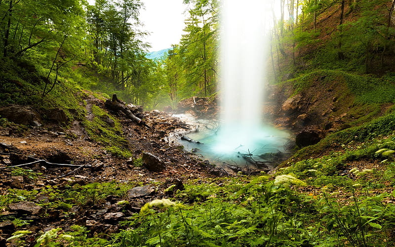lake, falling water, waterfall, forest, beautiful waterfall, HD wallpaper