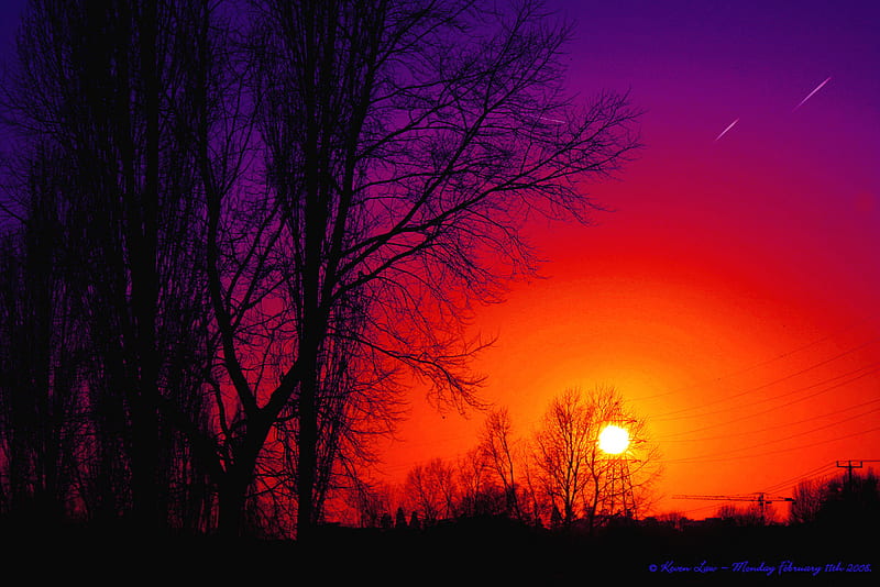 Amethyst Orange Sky, skyscape, sun, purple, orange, trees, HD wallpaper
