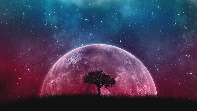 big moon, nebula, stars, lonely tree, galaxy, Space, HD wallpaper