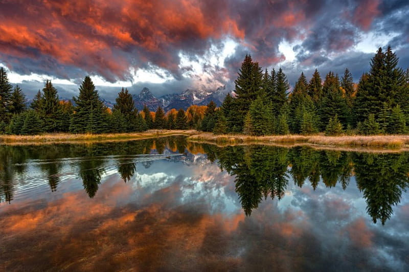 Grand Teton National Park, forest, cool, nature, fun, lake, HD wallpaper Grand Teton National Park, forest, cool, nature, fun, lake, HD wallpaper