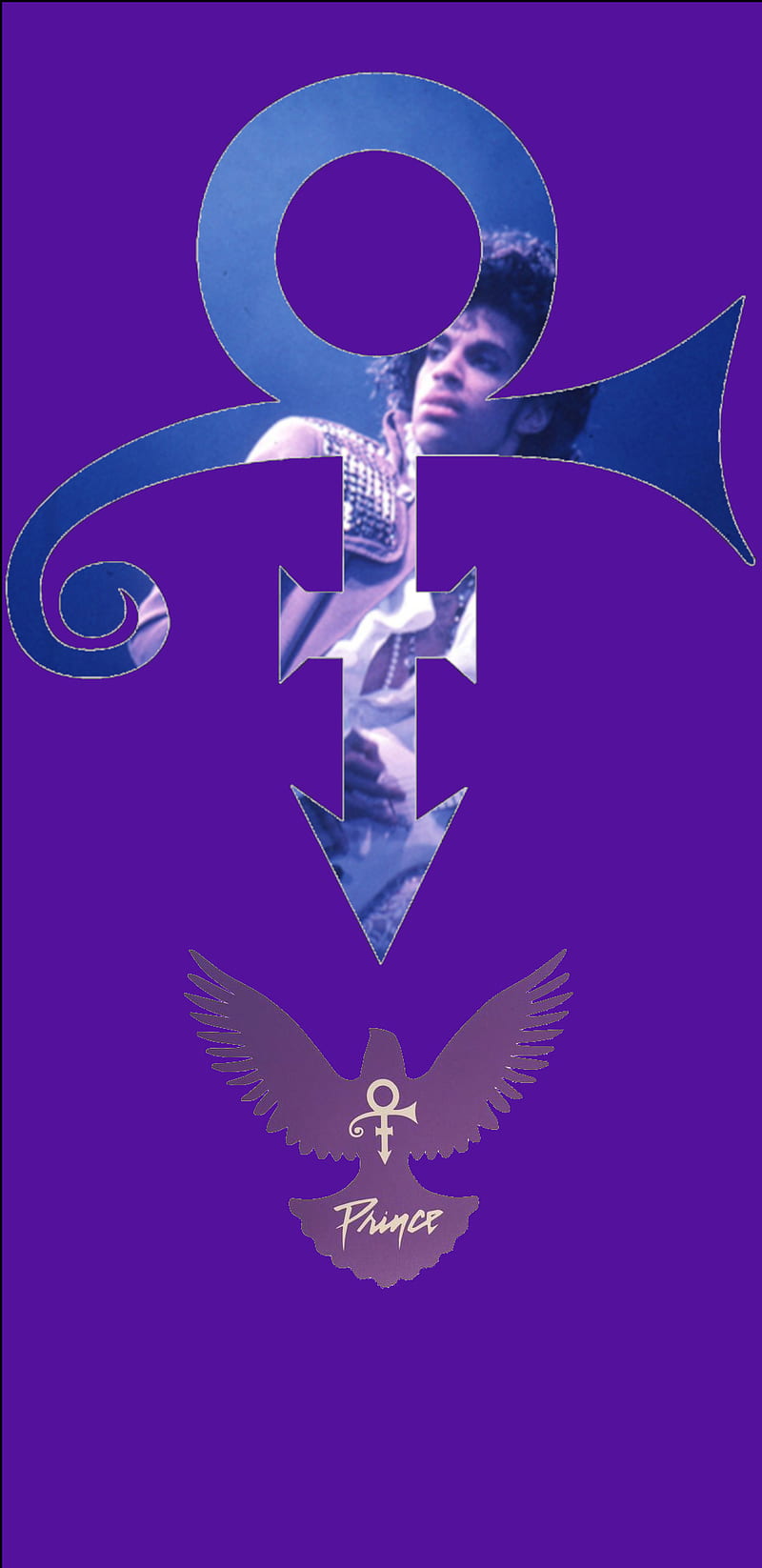 Prince dove, dove, guitar, nelson, prince, purple, rogers, HD phone wallpaper