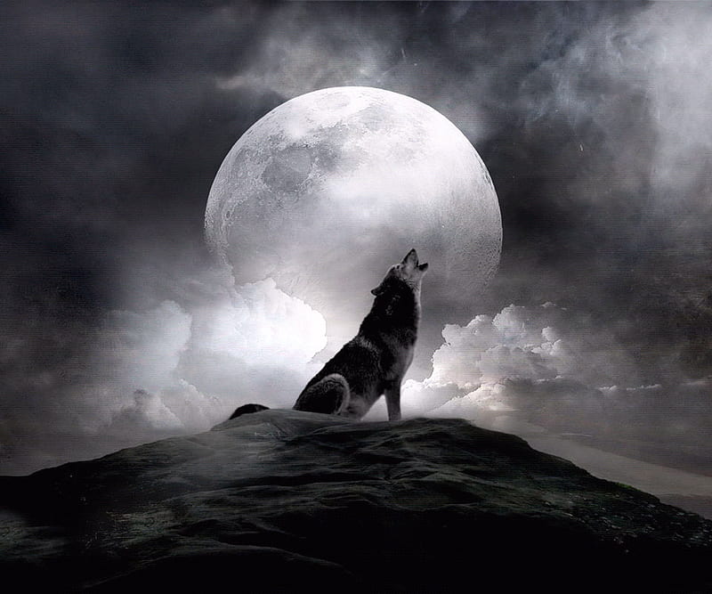 Moon_wolf, moon, 3d, wolf, dog, animal, night, HD wallpaper | Peakpx