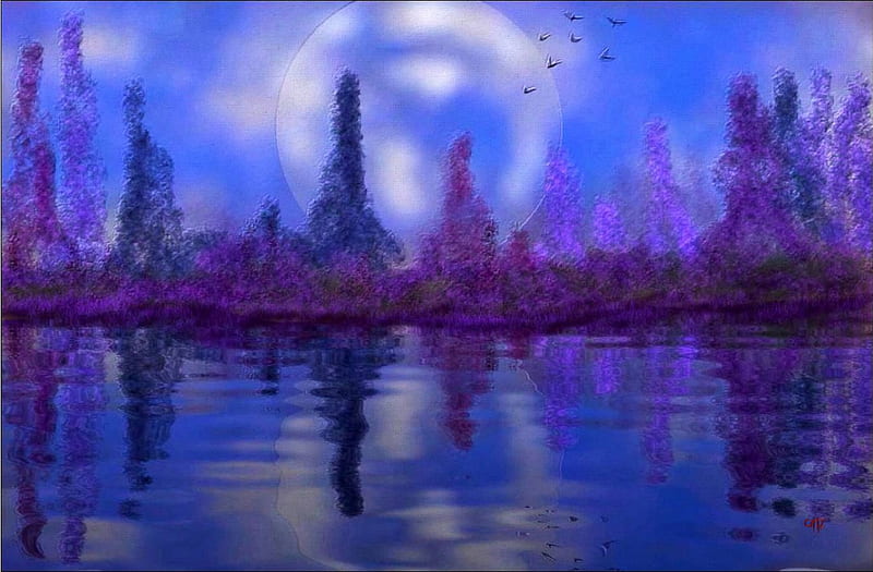 Serena, color, moon, night, vista, HD wallpaper | Peakpx