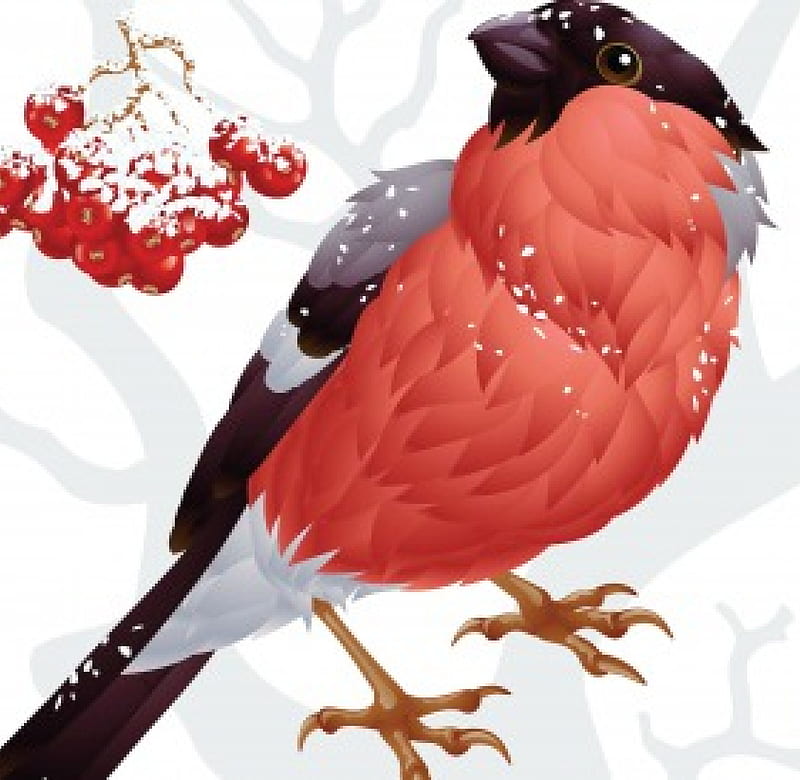 Bullfinch and ashberry, bullfinch, bird, snow, finch, winter, HD wallpaper