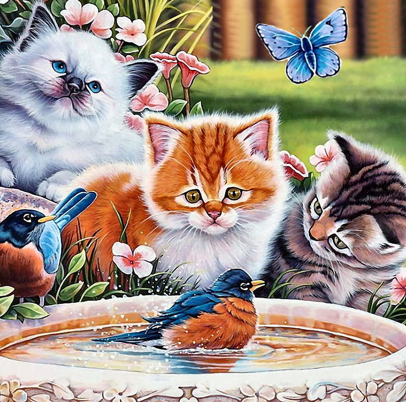 Splashing Robin FC, art, birdbath, songbirds, bonito, pets, artwork, animal, feline, painting, wide screen, robins, cats, HD wallpaper