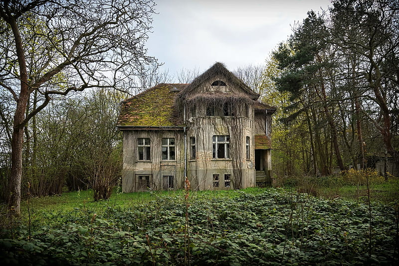 abandoned building, scary, ruins, trees, Nature, HD wallpaper