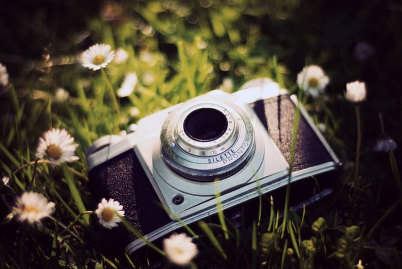 You Saved me from myself, flowers, camera, nature, soft, HD wallpaper
