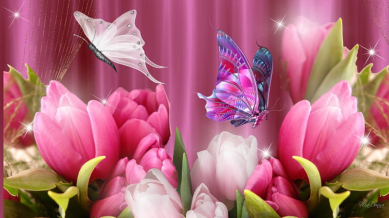 Tulips and Butterflies, stars, satin, firefox persona, spring, butterflies, tulips, pink, HD wallpaper