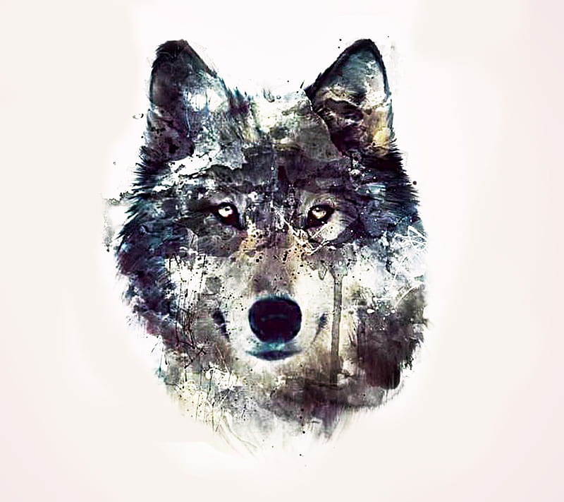 Realistic Wolf Drawing - Step By Step Tutorial - Cool Drawing Idea