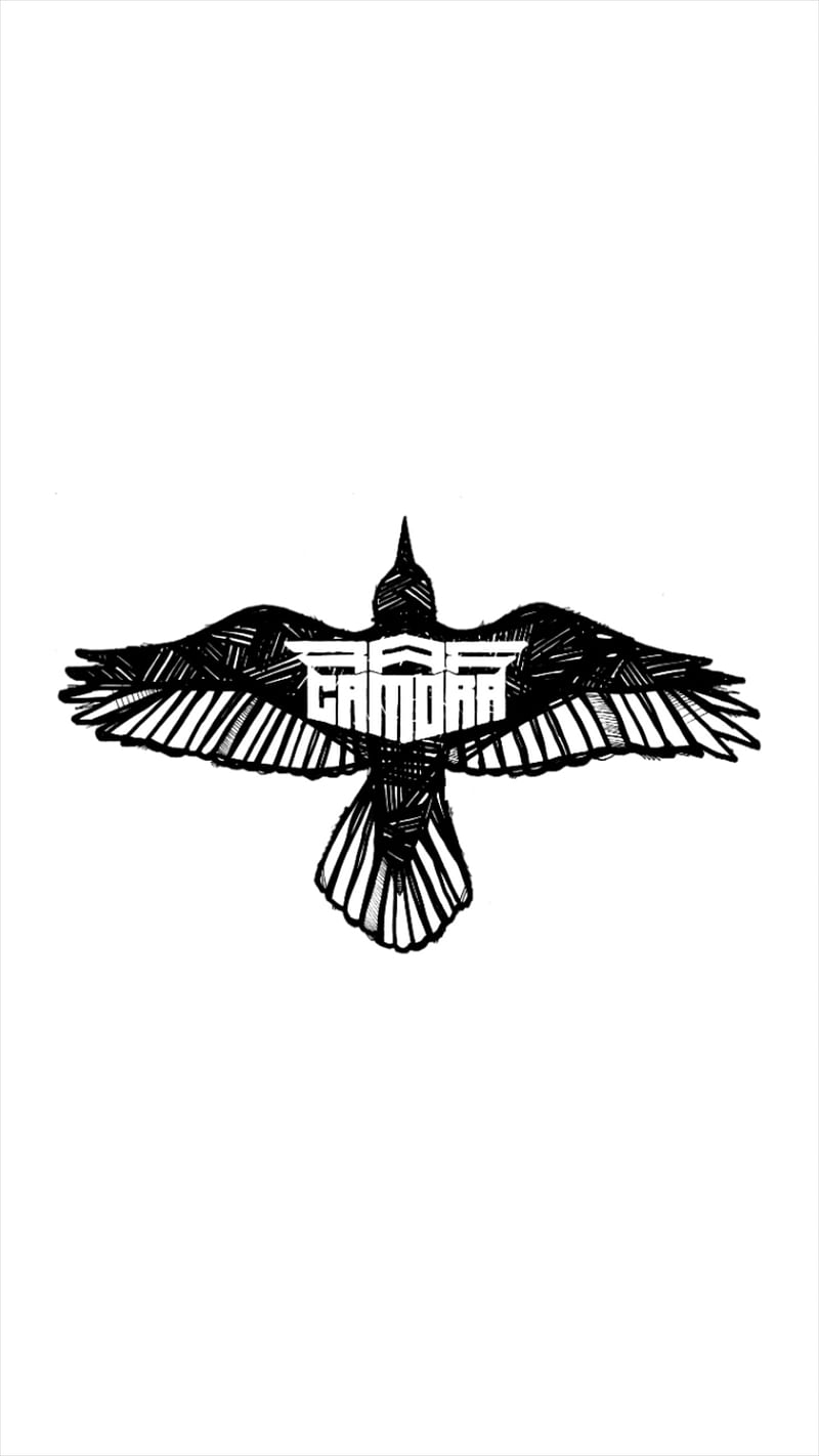 RAF Camora Simple, bird, deutsch, eagle, german, rap, simplistic, vogel, HD phone wallpaper