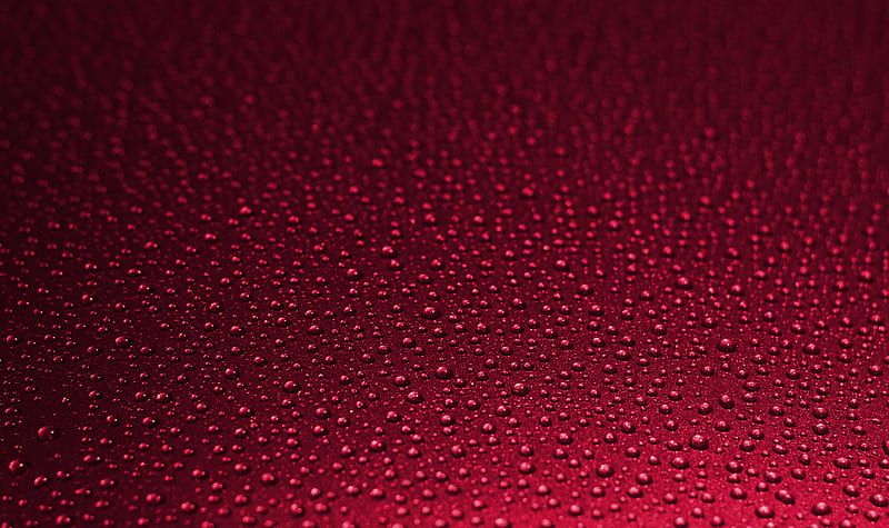 drops, wet, surface, red, macro, HD wallpaper
