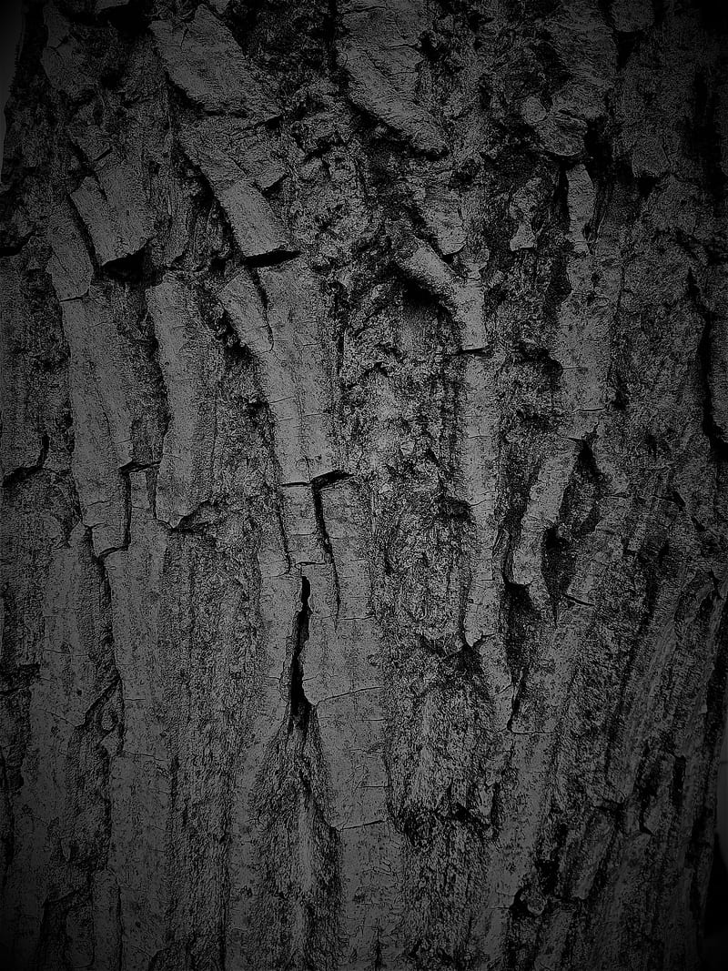 Black Bark, forest, grain, gris, pine, slate, stone, wall, wood, HD phone wallpaper