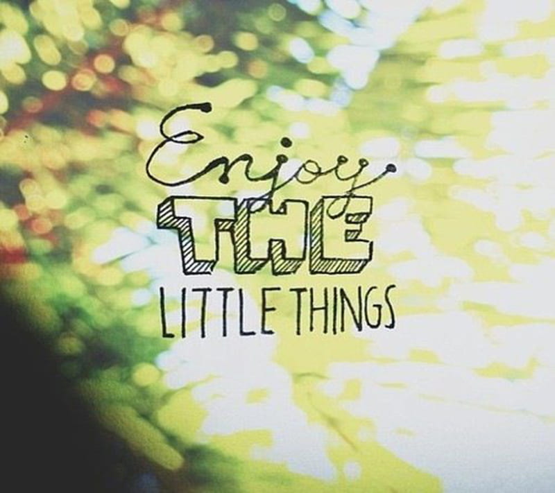 Little Things, life, nature, real, sayings, HD wallpaper