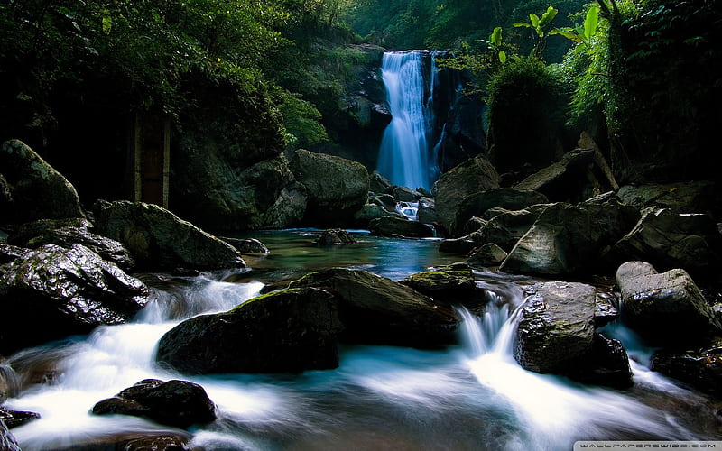 Jungle Waterfall-World most famous waterfall landscape, HD wallpaper