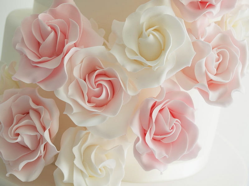 Pastel softness, paste, roses, white, pink, HD wallpaper