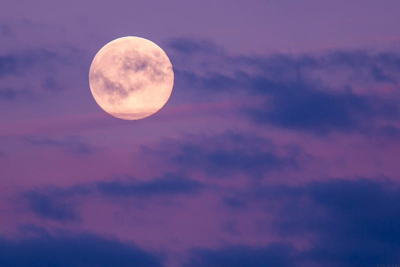 Full moon, moon, cloud, moon, purple, luminos, pink, blue, night, HD wallpaper