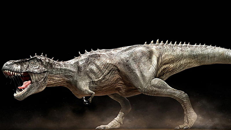 Tyrannosaurus Rex Dinosaur, HD wallpaper