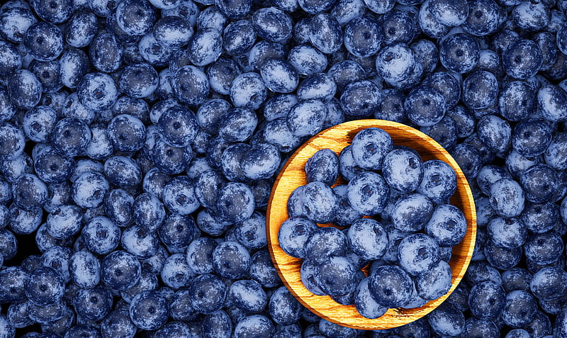 Close up and top view Lots of blueberries. Dark blueberry, fresh color, white pattern Use it as a or background. Healthy wood with high vitamin C. Fruit in a golden wood, HD wallpaper