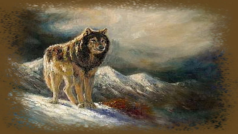 Storm Brewing, wolf, storm, snow, mountains, HD wallpaper