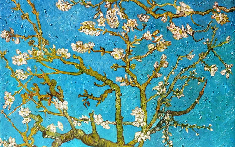 Almond tree, art, painting, vincent van gogh, spring, white, blue, HD wallpaper