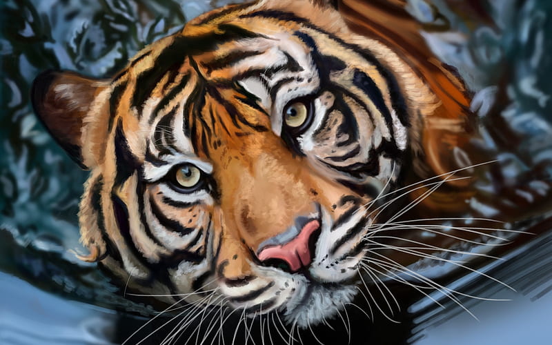Cats, Tiger, Close-Up, Face, Painting, HD wallpaper