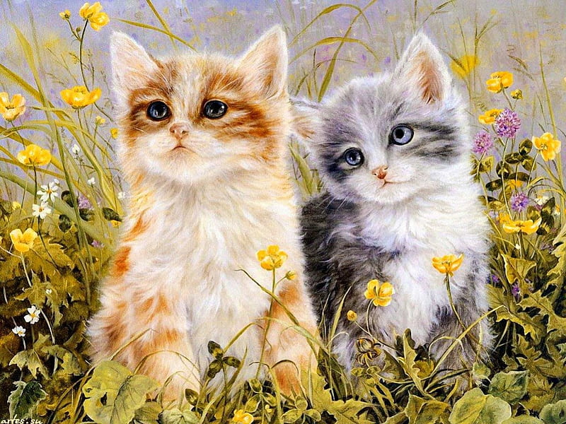 Two fluffy friends, pretty, fluffy, bonito, adorable, floral, sweet, nice, two, painting, flowers, kitties, fiels, friends, lovely, fresh, kittens, spring, freshness, cute, summer, cats, meadow, HD wallpaper