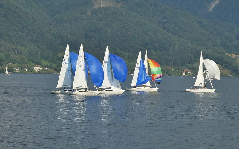 Sailing in Austria, sailing, Austria, sailboats, lake, yachts, HD wallpaper