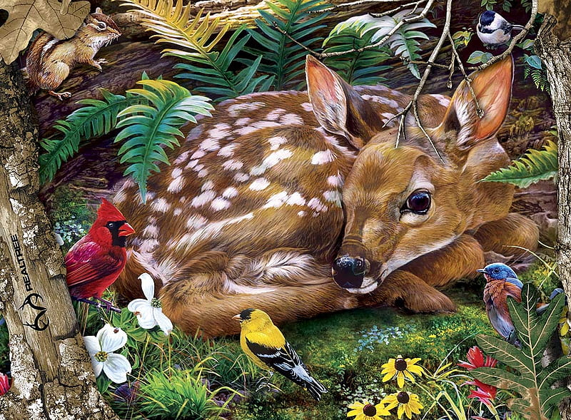 Baby Deer, hiding, red, fawn, bird, still, baby, cardinal, deer, puzzle, HD wallpaper