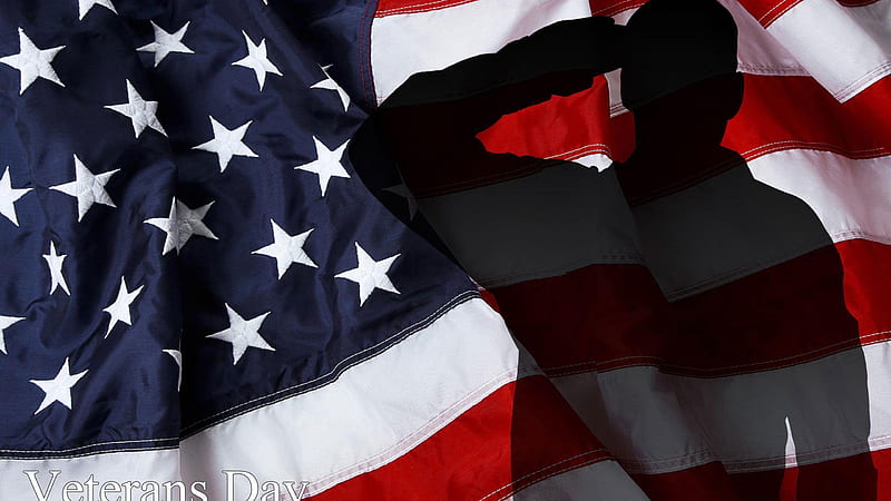 Soldier Salute US Flag Background Veterans Day, HD wallpaper