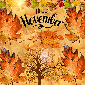November, ashley, beauty, HD phone wallpaper | Peakpx