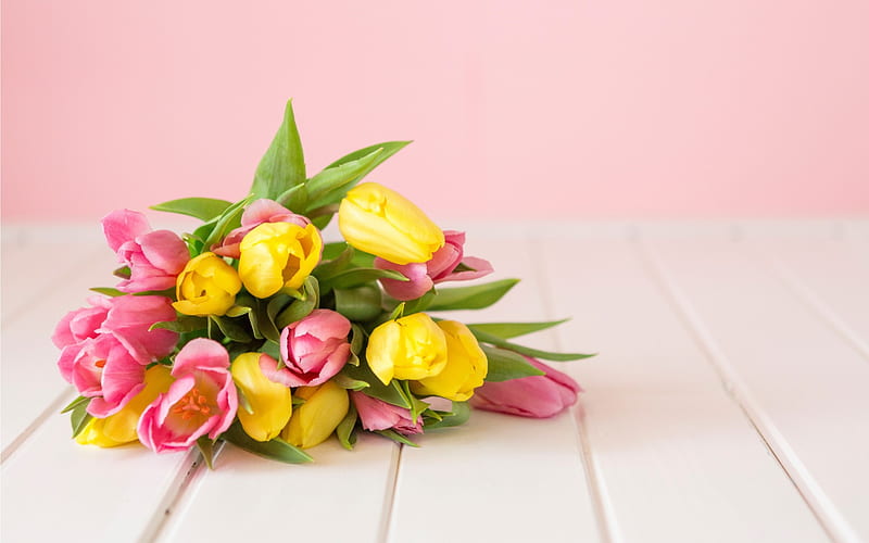 spring bouquet, yellow tulips, pink tulips, pink background, HD wallpaper
