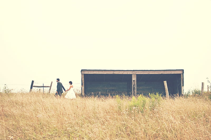 Wedding day in a field beside an old wooden farm building, HD wallpaper