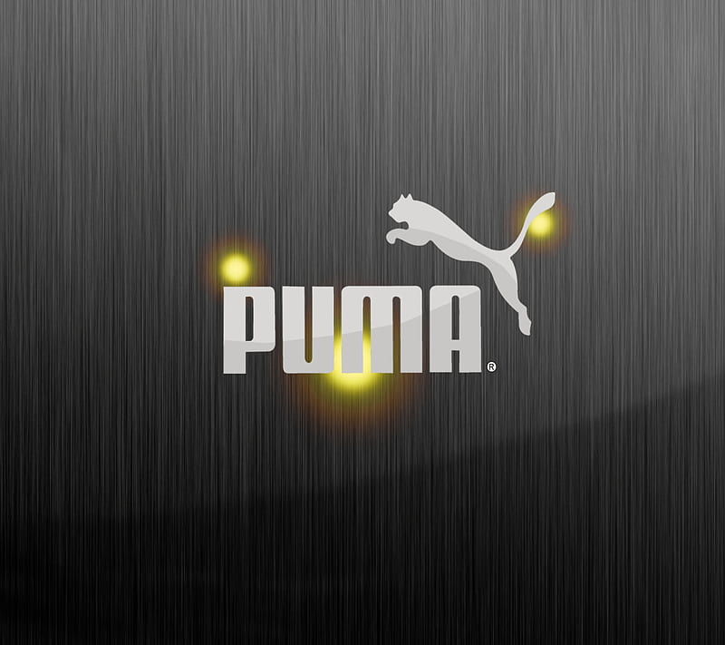 Puma, 2016, awesome, love, HD wallpaper | Peakpx