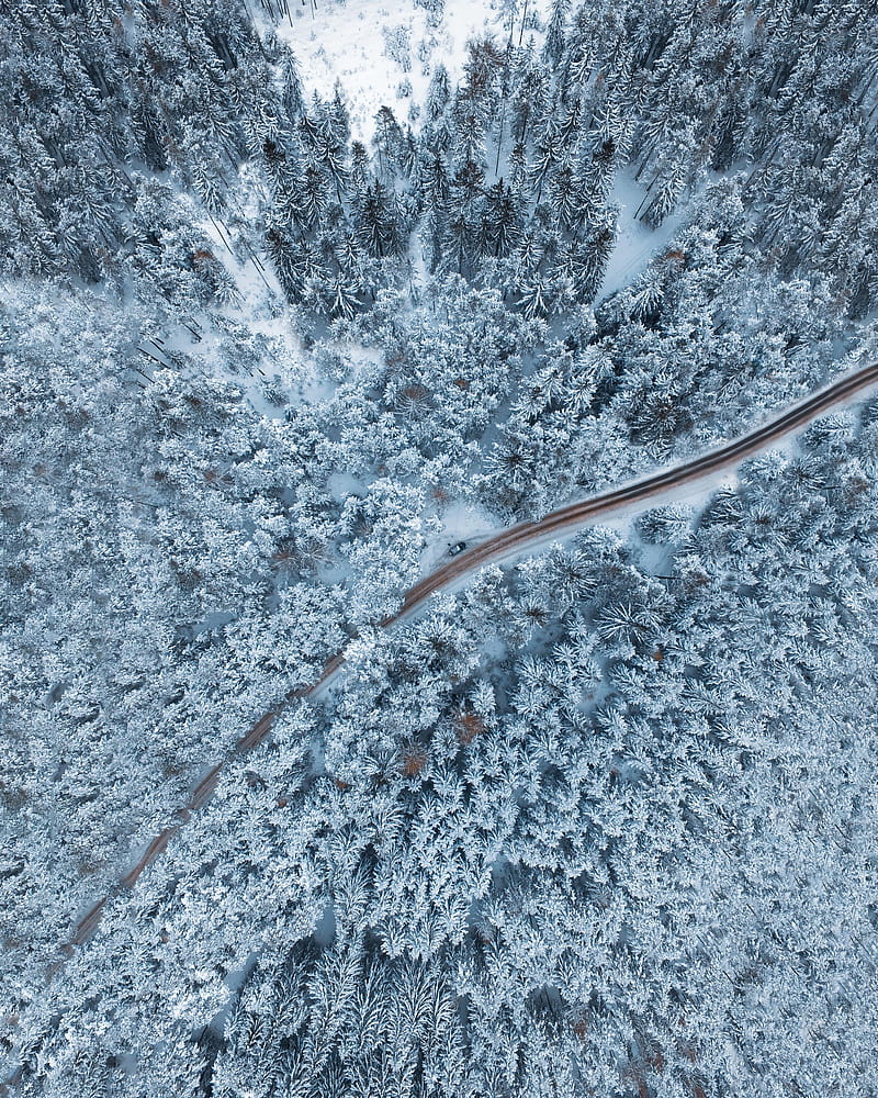 forest, winter, aerial view, snow, snowy, trees, HD phone wallpaper