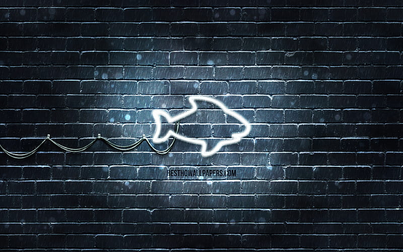 White Shark neon icon gray background, neon symbols, White Shark, creative, neon icons, White Shark sign, animals signs, White Shark icon, animals icons, HD wallpaper