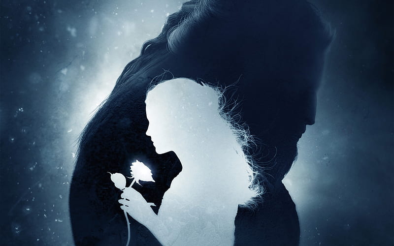 Beauty and the Beast 2017, poster, beauty and the beast, movie, rose, belle, silhouette, fantasy, girl, beast, flower, white, disney, blue, HD wallpaper
