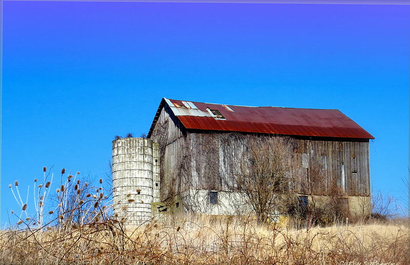Country Barn on the Hill and Rust on the Roof, architecture, silo, spring, country, barn, farm, color, nature, field, rusty roof, HD wallpaper