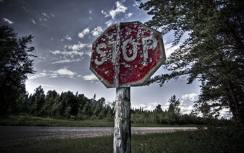 Stop or il Shoot, stopschild, traffic sign, stop, stop sign, signpost, art, HD wallpaper