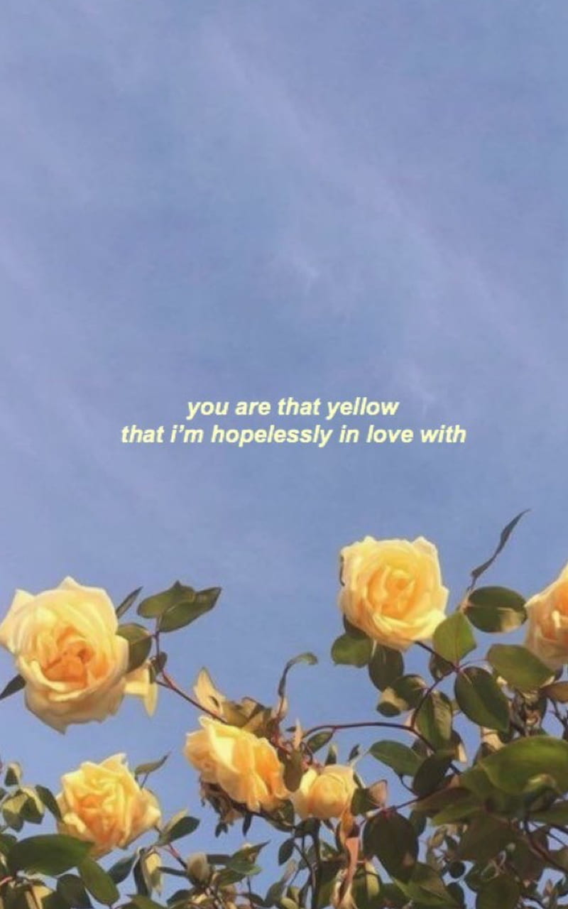 Aesthetic Yellow, pretty, roses, HD phone wallpaper | Peakpx